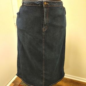 Women's Plus Size  Denim Skirt